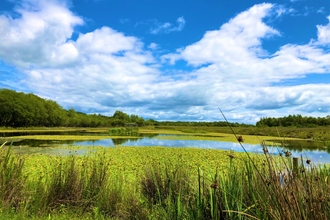 Northern Wetlands at Parc Slip