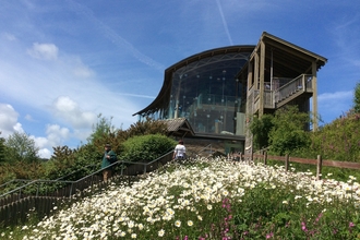 Welsh Wildlife Centre surrounded by spring flowers