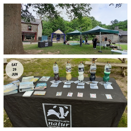 A picture of our stand at the St fagans museum event, with our river pollution mini game and logo