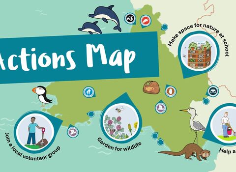 Illustrated map of south and west Wales with examples of actions for nature