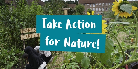 People helping nature in an urban community garden