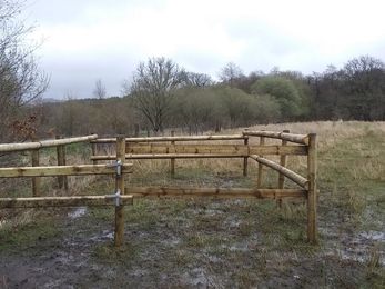 Handling area in Area 4 (field behind Ysgol Golwy Y Cwm), Ystrad Fawr