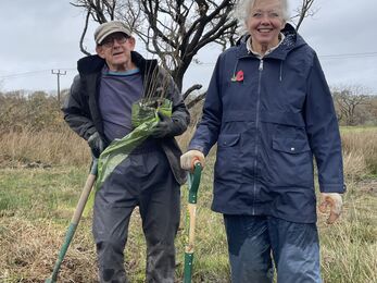 Two volunteers with spades planting trees
