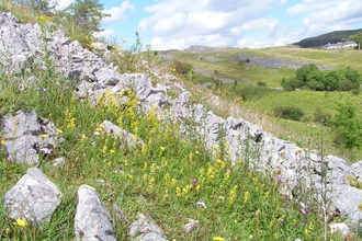 Allt Rhongyr