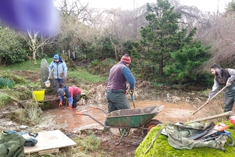 pond clearing