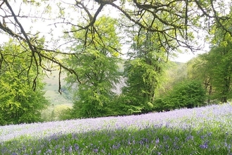 Vicarage Meadows