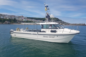 Dolphin Survey Boat Trips Boat