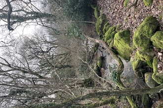 Trellwyn Fach Nature Reserve