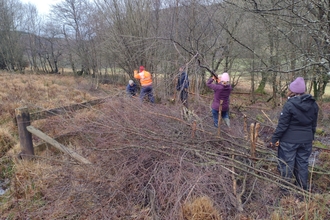 Freshwater habitats and leaky woody structures at Vicarage Meadows Nature Reserve.