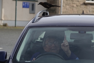 Lyndon in a car pointing to a black bird on the roof. 