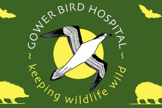Gower Bird Hospital logo