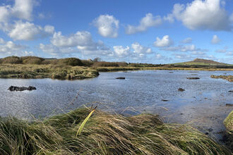 Panorama view of Dowrog Common wetland with blue skies