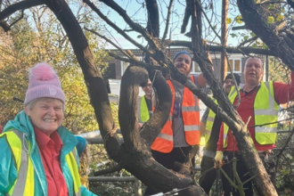 Den helping to clear overgrown and storm damaged trees to improve accessibility at the entrance of Jokers Field.