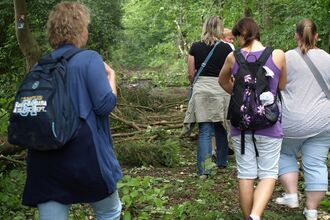 group of walkers in woodland