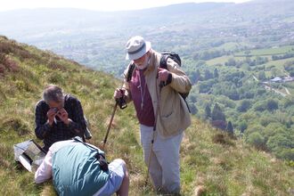 Three men in a grassy landscape, looking closely at plants