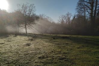 View of a misty field with a tree-line in the distance