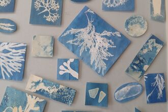 Seaweed Cyanotype Print 