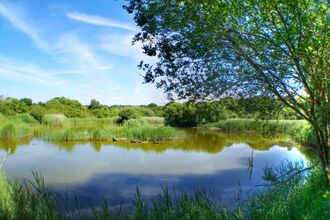 view of marsh and pond from kingfisher hide