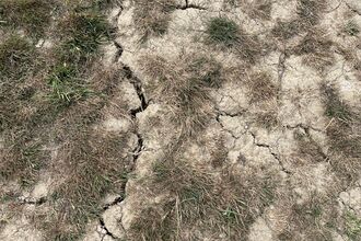 Large cracks are visible in very dry mud following a heatwave, with patchy brown grass