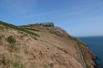 A slope covered with dry brown vegetation.