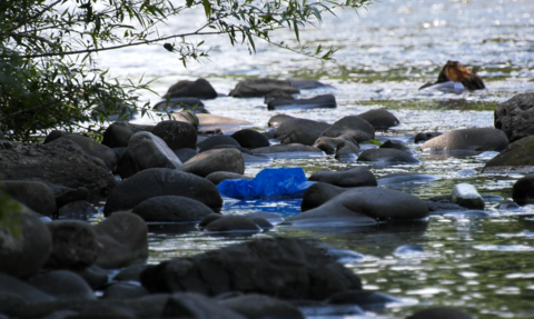 Some plastic pollution seen along the banks of the river Taff