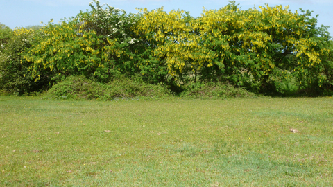 Rhos Marion Nature Reserve