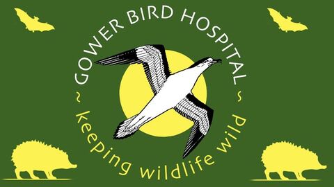 Gower Bird Hospital logo