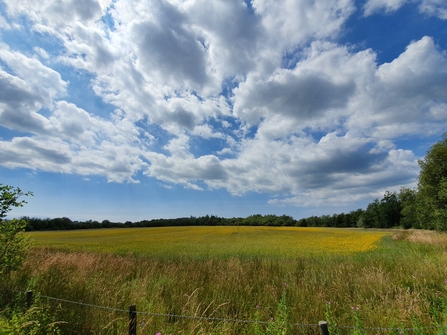 Arable Field