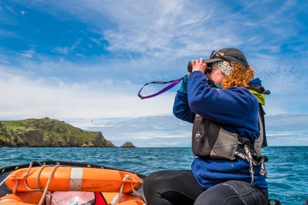 Nature Networks Main Image. Beth Seabird Counting