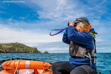 Beth, Skomer 