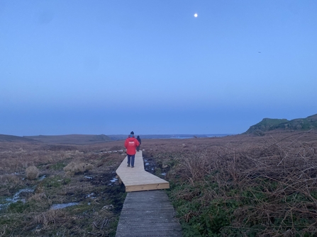 Ella, Skomer volunteer