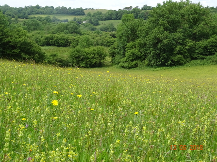 Carmel nature reserve