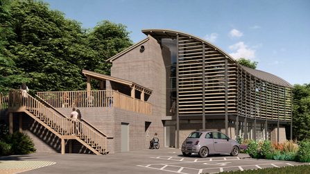 An artist impression of the proposed changes to the Welsh Wildlife Centre. There are people of different ages, races and abilities in the image. 