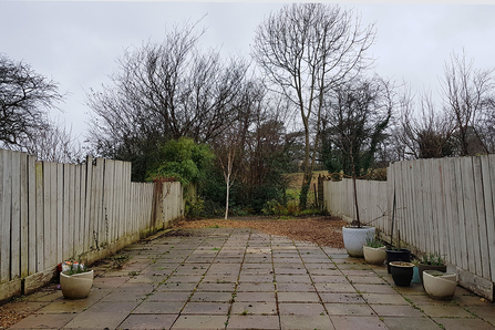 Paved back garden with very little vegetation or wildlife. 