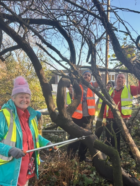 Den helping to clear overgrown and storm damaged trees to improve accessibility at the entrance of Jokers Field.