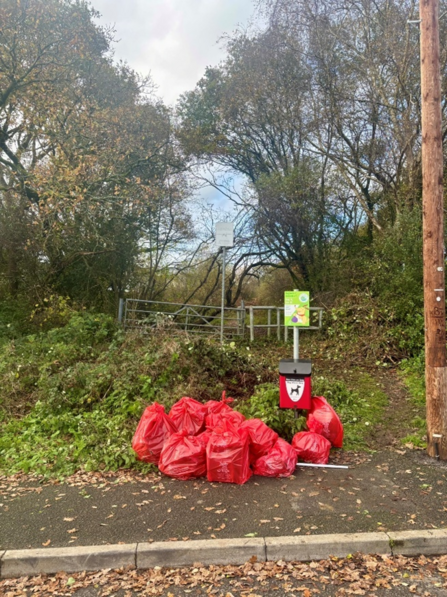 Multiple bags of rubbish collect in a green space by the community