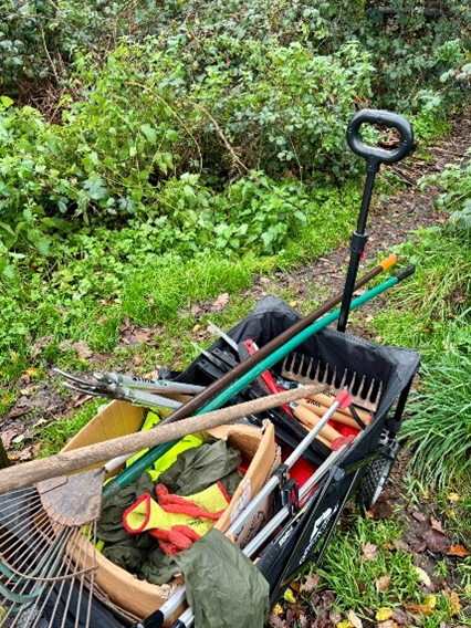 A wheelbarrow full of tools in a green space
