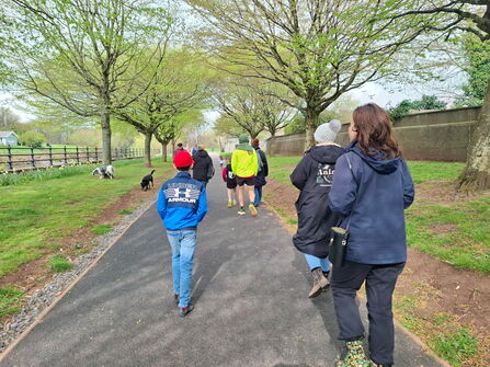 People walking through a park. There are large trees and grass beside the path.