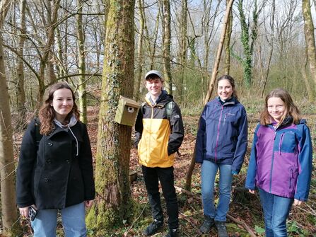A group of people stood around a bird box on a tree, in a woodland.