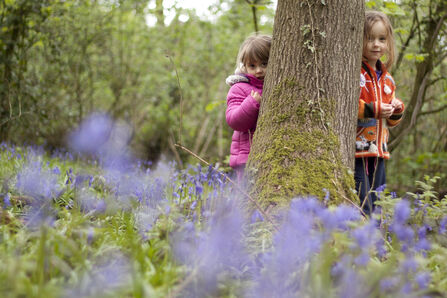 Children stood hiding behind a tree trunk in a colourful woodland
