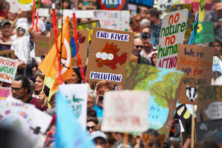 A picture of the crowds at the Restore Nature Now march, with a sign saying "end river pollution" in focus amongst the sea of other signs