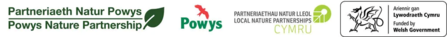 Logos for the Powys Nature Partnership, Powys County Council, Local Nature Partnerships Cymru, and 'Funded by the Welsh Government'.