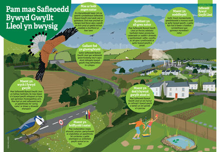 A graphic showing a landscape, with the text 'why do Local Wildlife Sites Matter?