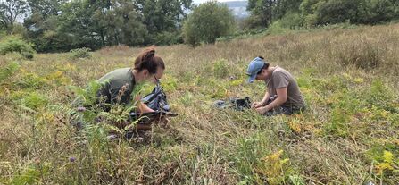 Two people crouched in grassland with clipboards.