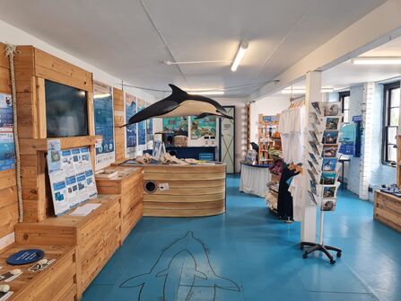 A room filled with educational displays about marine wildlife. An outline of a dolphin is painted on the floor and a model of a dolphin hangs from the ceiling.  