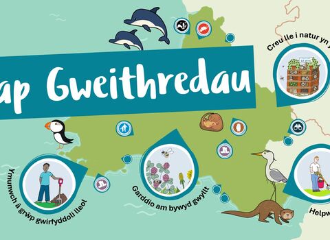 Map Gweithredau. Crey lee i natur yn yr Ysgol. Ymunwch â grŵp gwirfyddoli lleol. Garddio am bywyd gwyllt. Helpwch ymgyrch leol.  